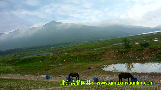 清馨園林市場部團(tuán)隊建設(shè)活動順利舉行