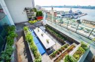紐約曼哈頓的屋頂農(nóng)場餐廳景觀設計欣賞
