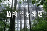 PM2.5有的治嗎？
