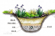 什么是雨水花園？雨水花園和普通花園有什么區(qū)別？
