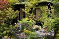 庭院植物主景如何設(shè)計？